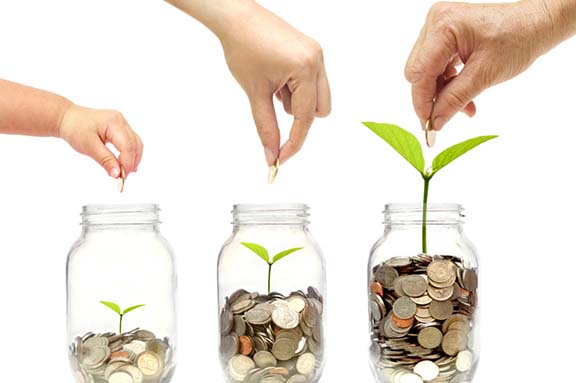 budget web design zimbabwe