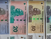 ZiG new Zimbabwean Gold Backed Currency