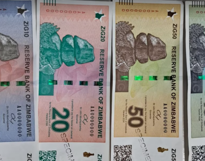 ZiG new Zimbabwean Gold Backed Currency